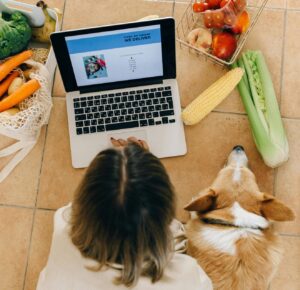 Summer Foods for Dogs